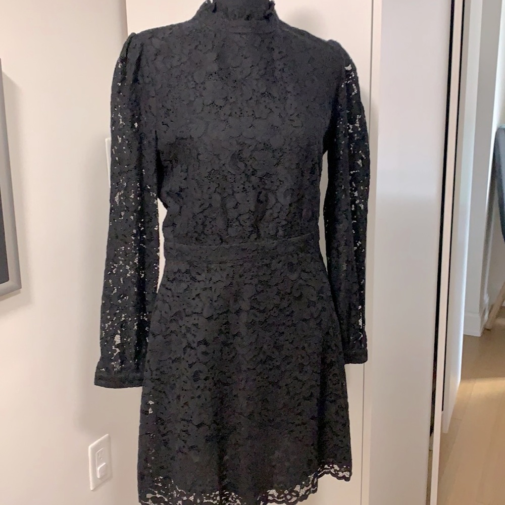 & Other Stories A line Lace LBD with Cotton Lining. US 12 (more like a US10) $65